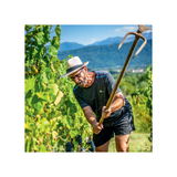 Château de Mérande - La Belle Romaine - 2023 - Rouge