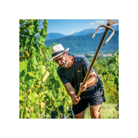 Château de Mérande - Le Comte Rouge - 2018 - Rouge