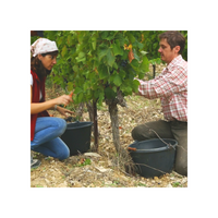 "Les 3 crus des Côtes du Rhône" : Châteauneuf du Pape, Gigondas, Vacqueyras - Rouges - Domaine COHOLA | Les Assortis