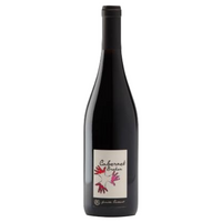 Domaine les grandes vignes - Cabernet breton - 2021 - Rouge