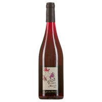Domaine les grandes vignes - Pineau d'Aunis - 2021 - Rouge