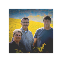 Domaine les grandes vignes - L'aubinaie - 2019 - Rouge